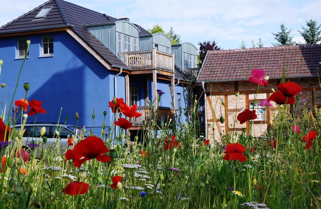 Blugarden Ferienapartments Im Spreewald Люббен Номер фото